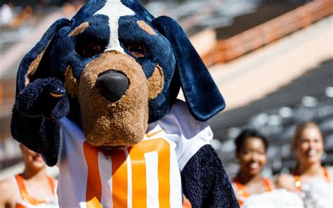 Tennessee mascot dog breed